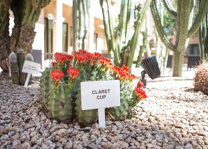 Hotel Courtyard By Marriott Phoenix